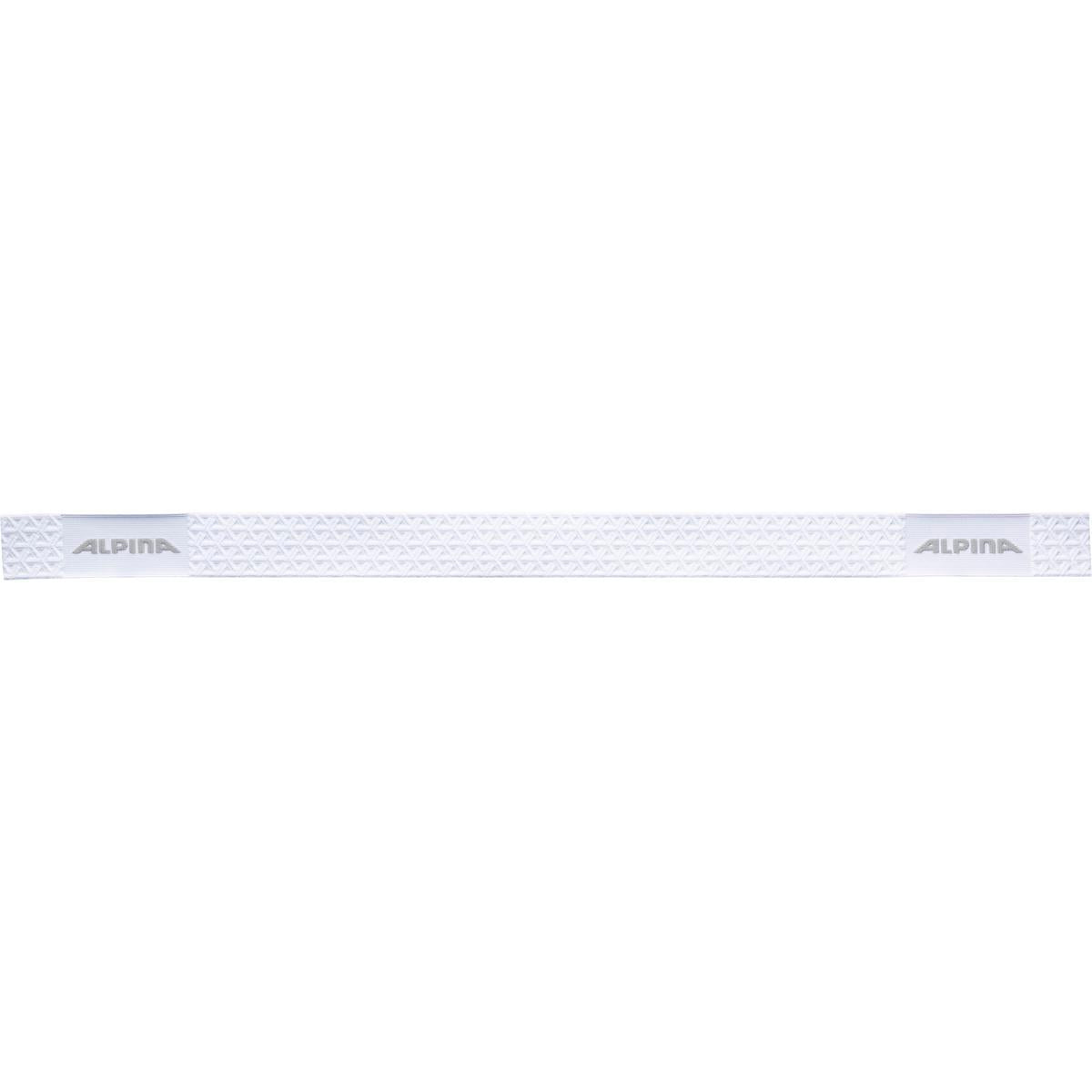 Alpina Scarabeo S Q, Skibrille