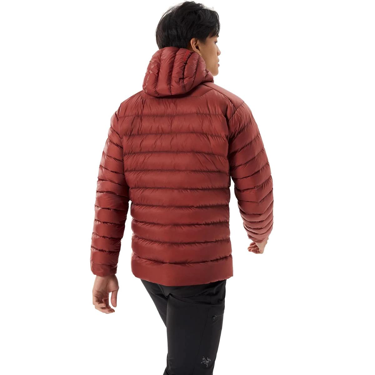 Arcteryx Cerium Hoody sequoia solaris Herren Daunenjacke