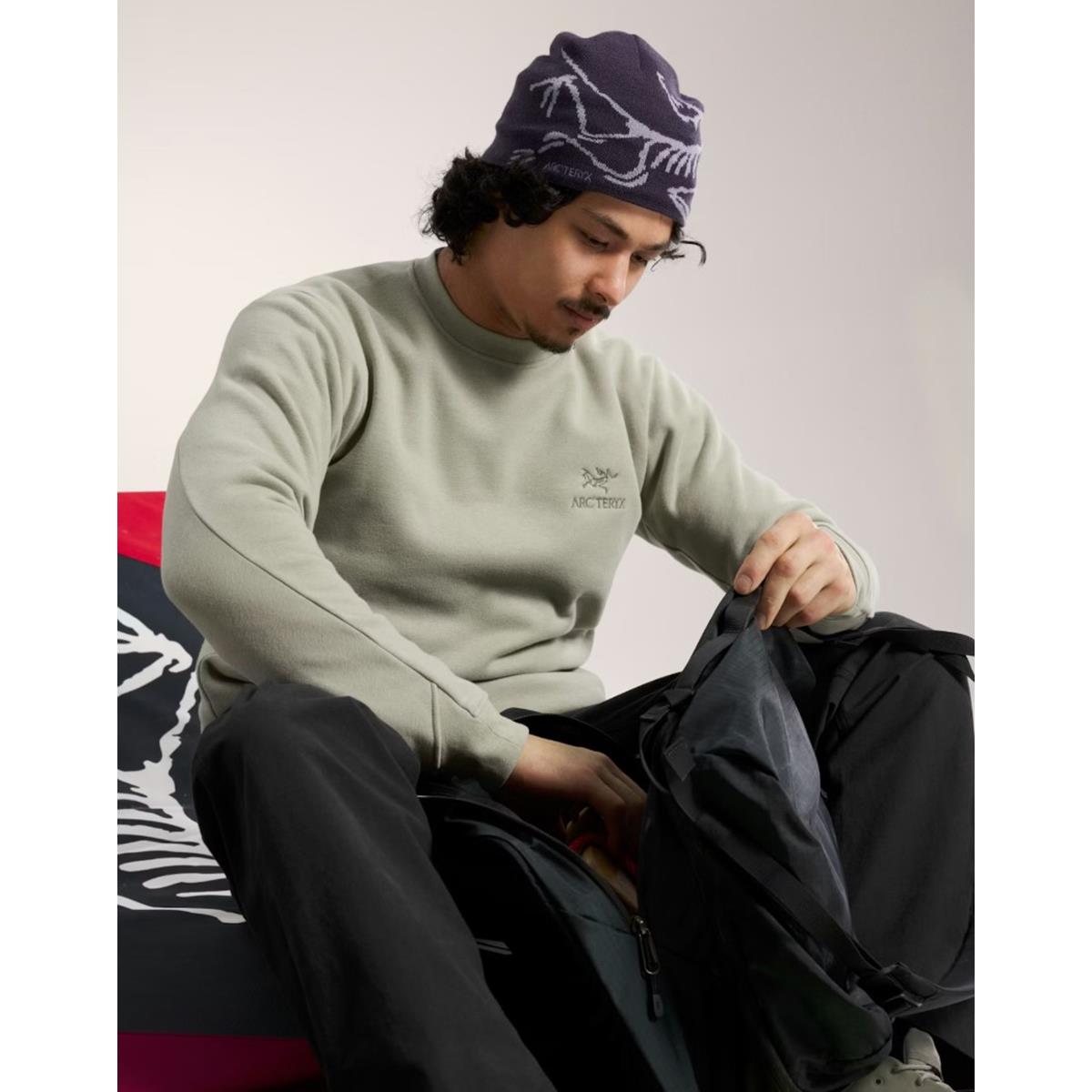 Arc'teryx Emblem Fleecepullover Herren habitat