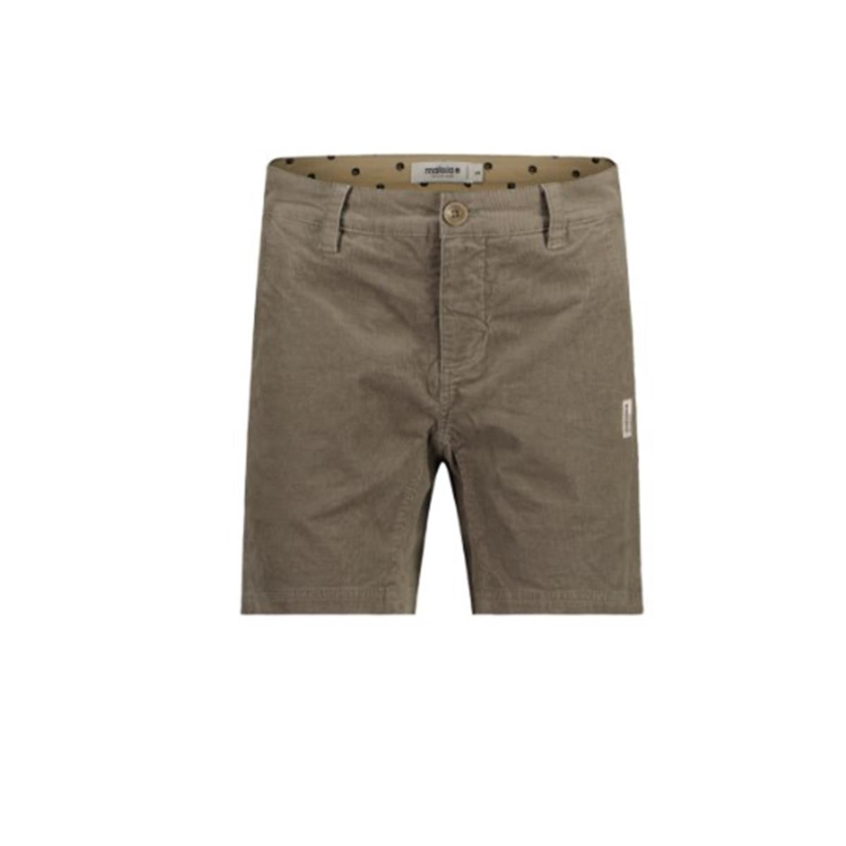 Maloja Golica warm shadow Damen Short