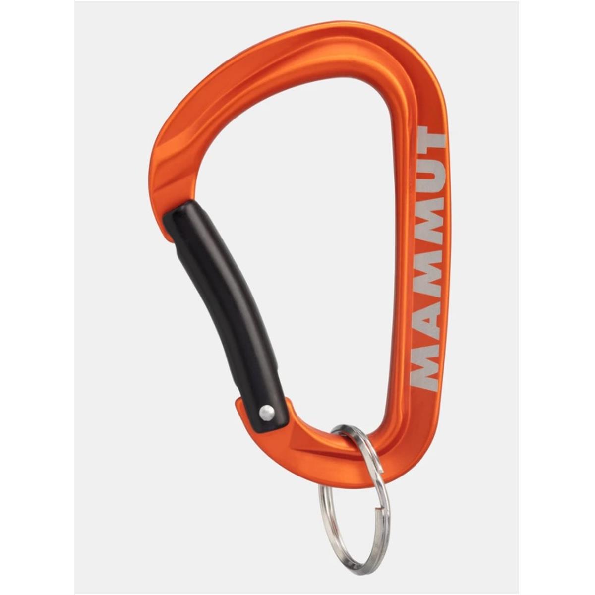 Mammut Mini Carabiner Workhorse Keylock L assorted