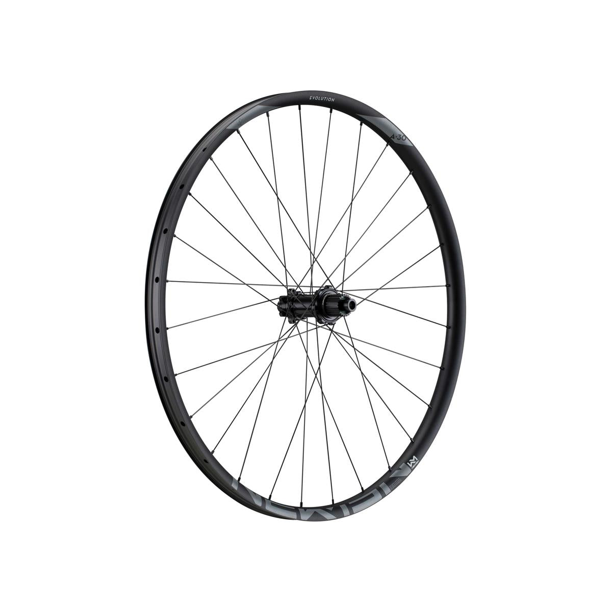 Newmen Evolution SL A.30 29 Zoll Rear