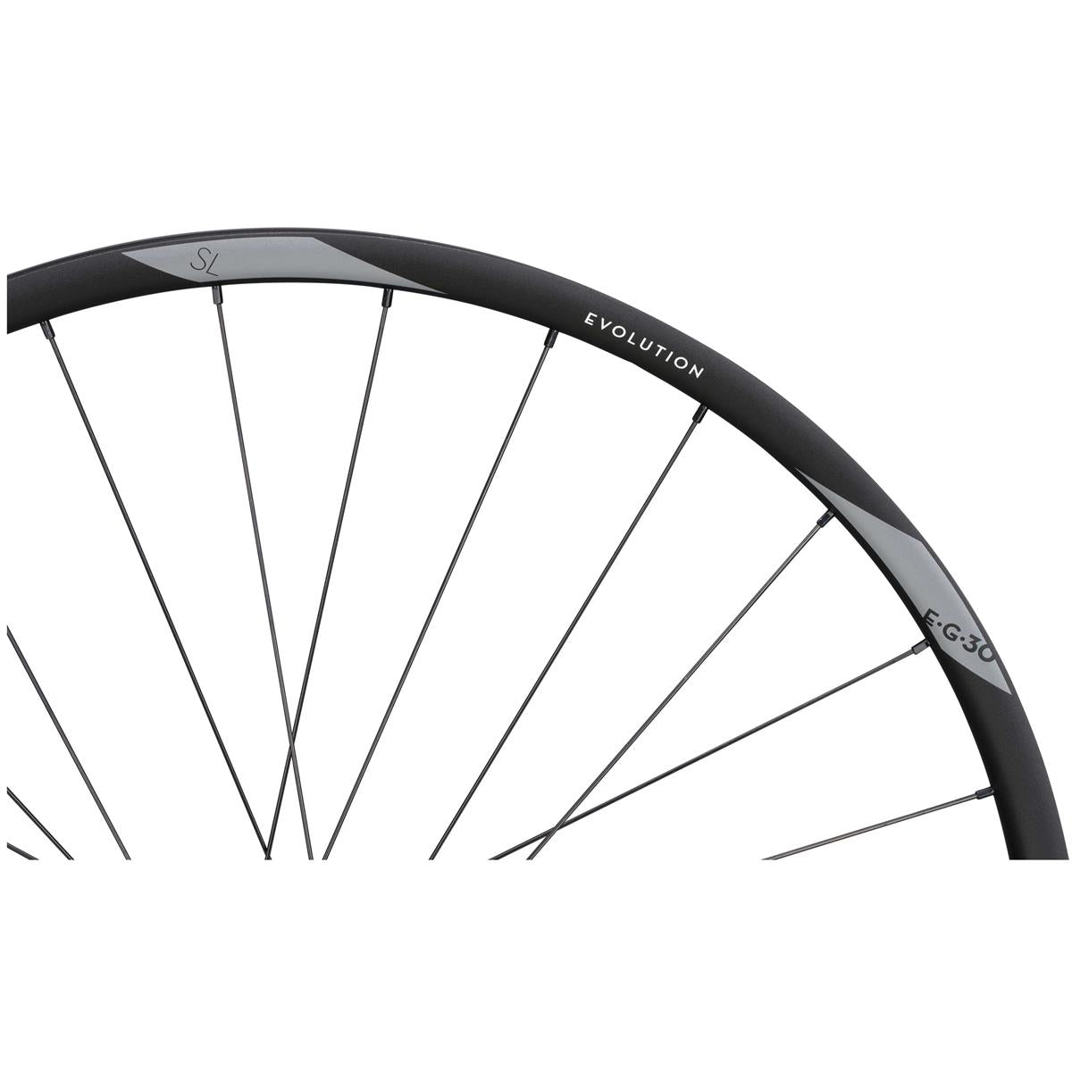 Newmen Evolution SL E.G. 30 29 Zoll Rear