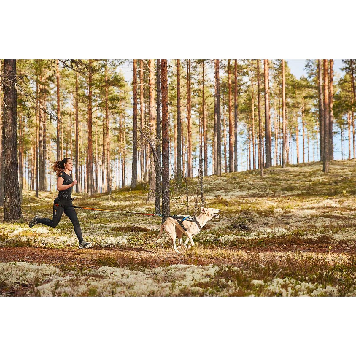 Non-stop dogwear Freemotion Harness
