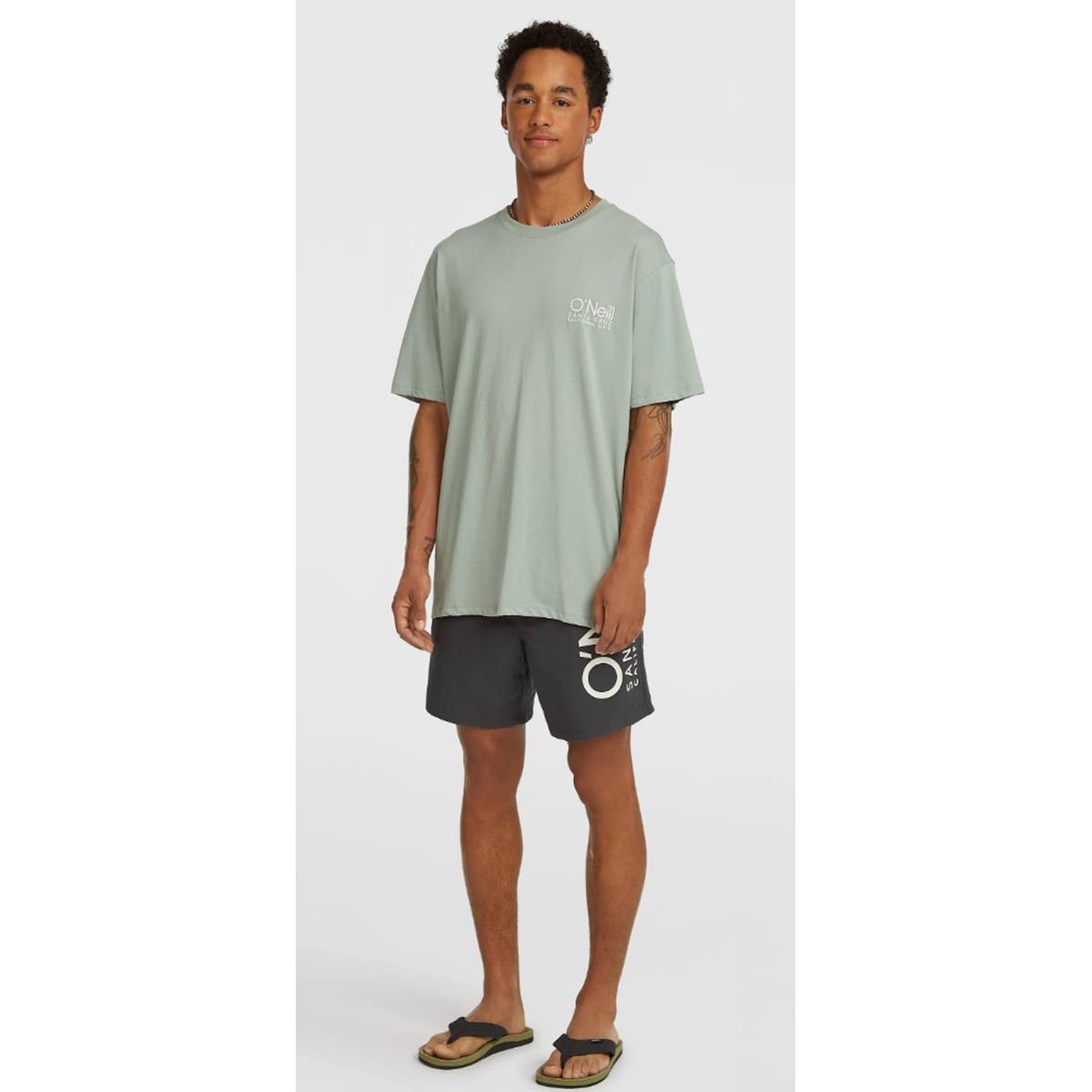 O`Neill Cali 16'' Swimshorts Herren asphalt
