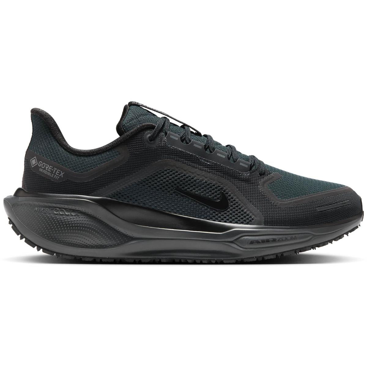 Nike Pegasus 41 GTX Men black