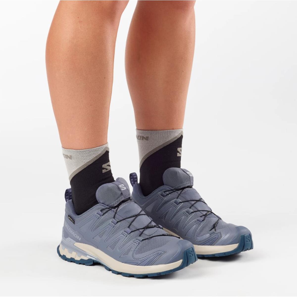 Salomon XA Pro 3D V9 Gore-Tex Trailrunningschuhe Women grisaille / tradewinds