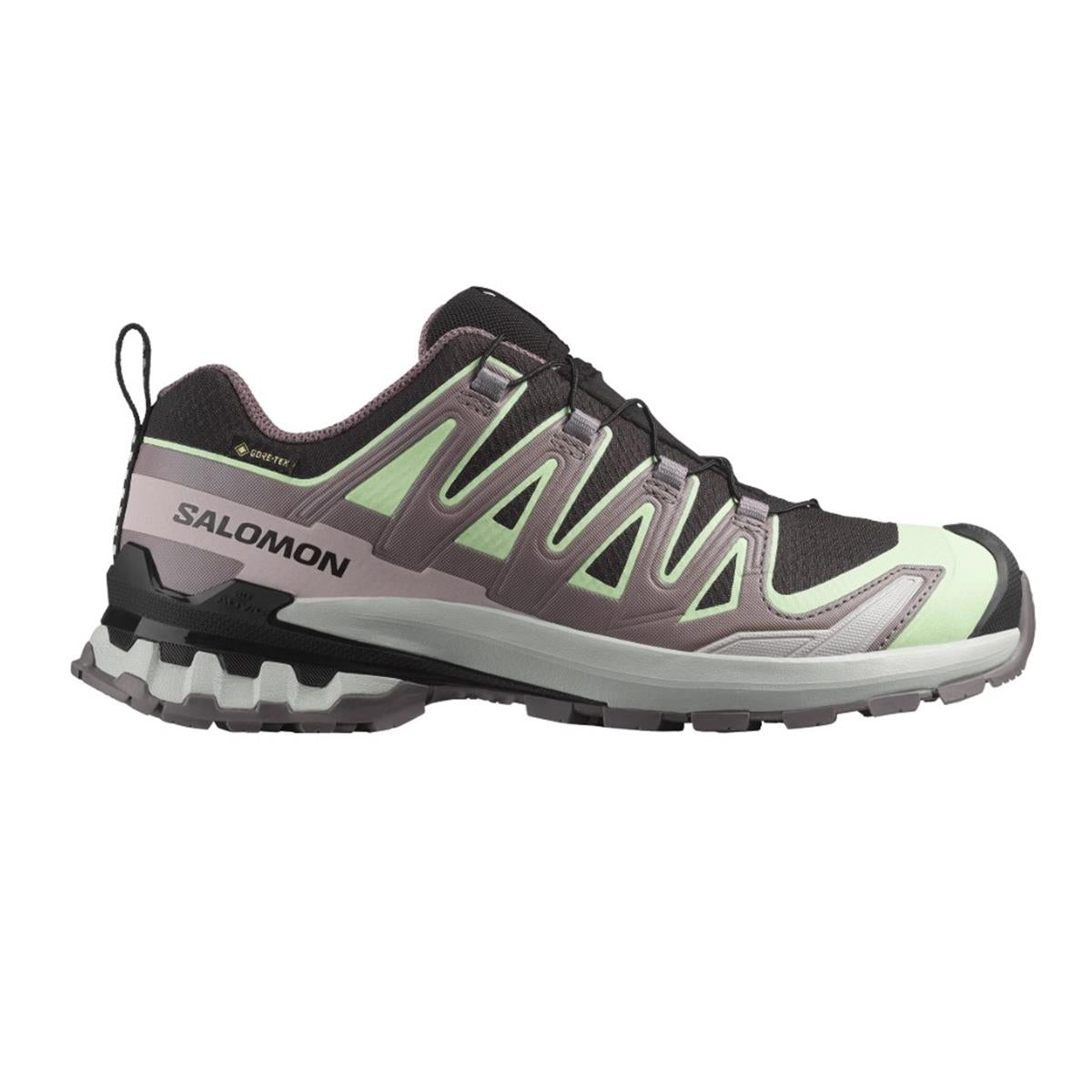 Salomon XA PRO 3D V9 GORE-TEX Black / Patina Green / Gray Violet Damen