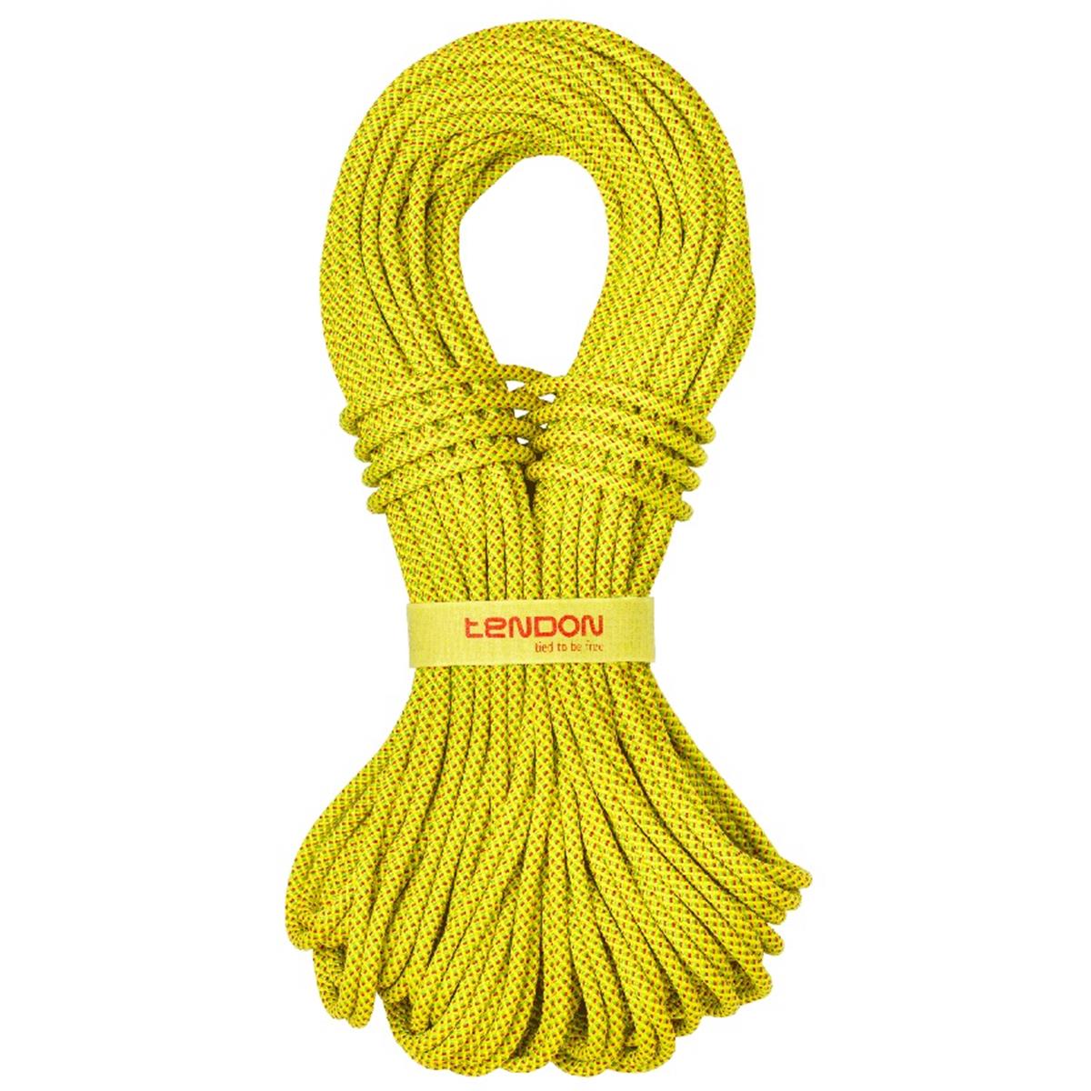 Tendon Alpine 7,9mm 30m