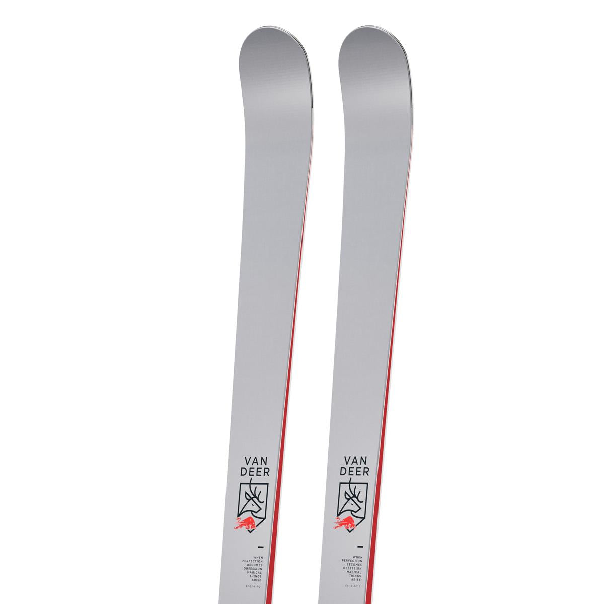 Bild 1 GS World Cup grey