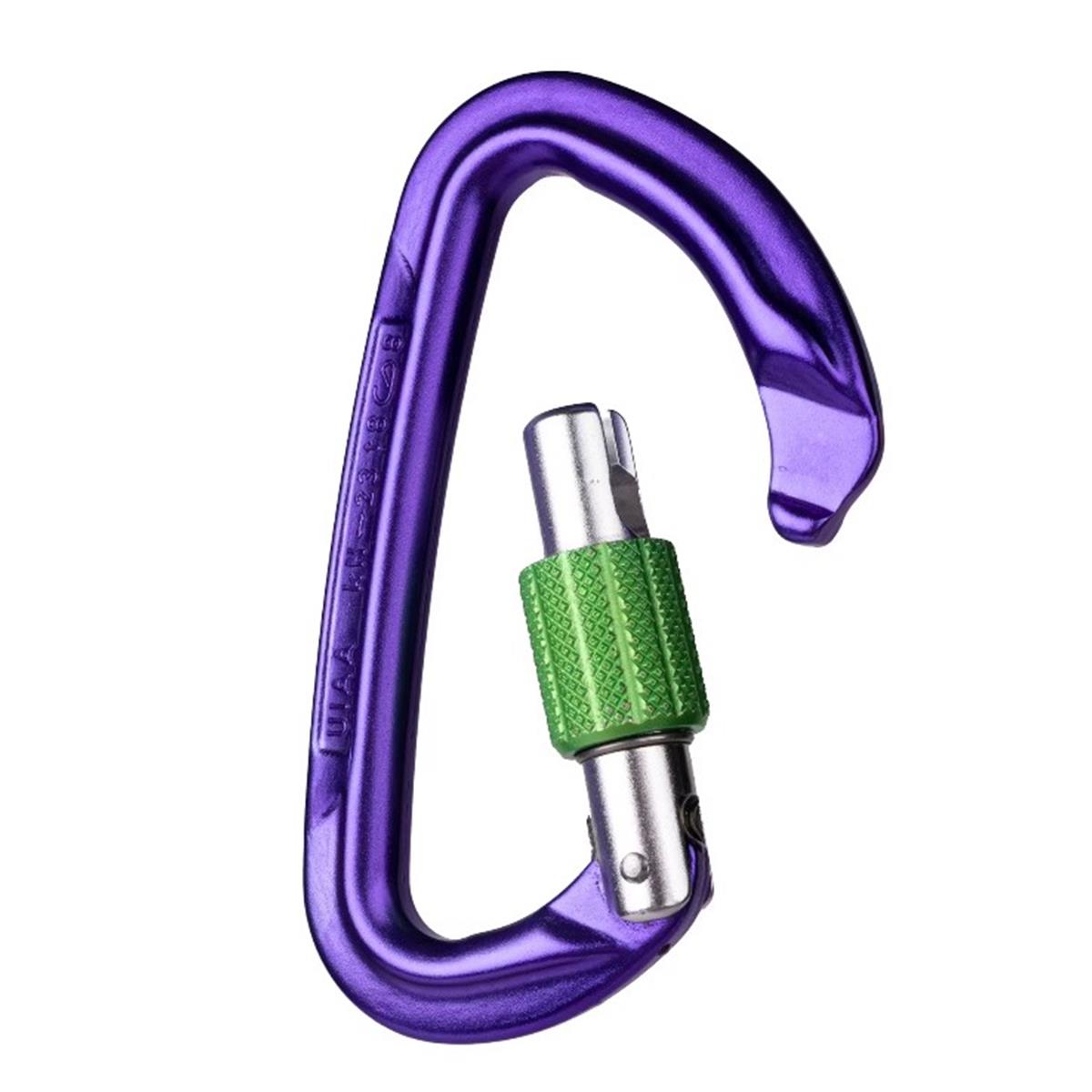 Wild Country Session Screw Gate - purple/green