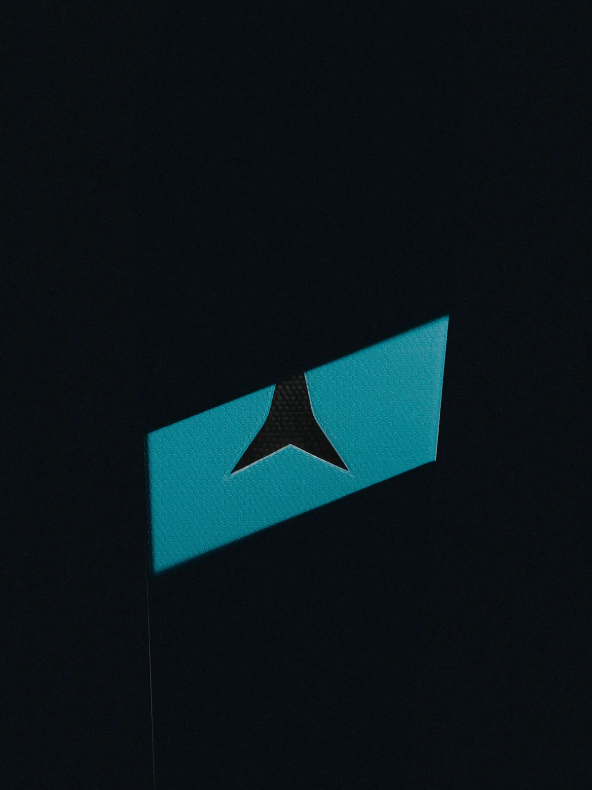 Atomic Logo auf einem Redster Rennski