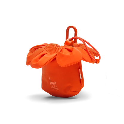 Got Ba Anemone Charm