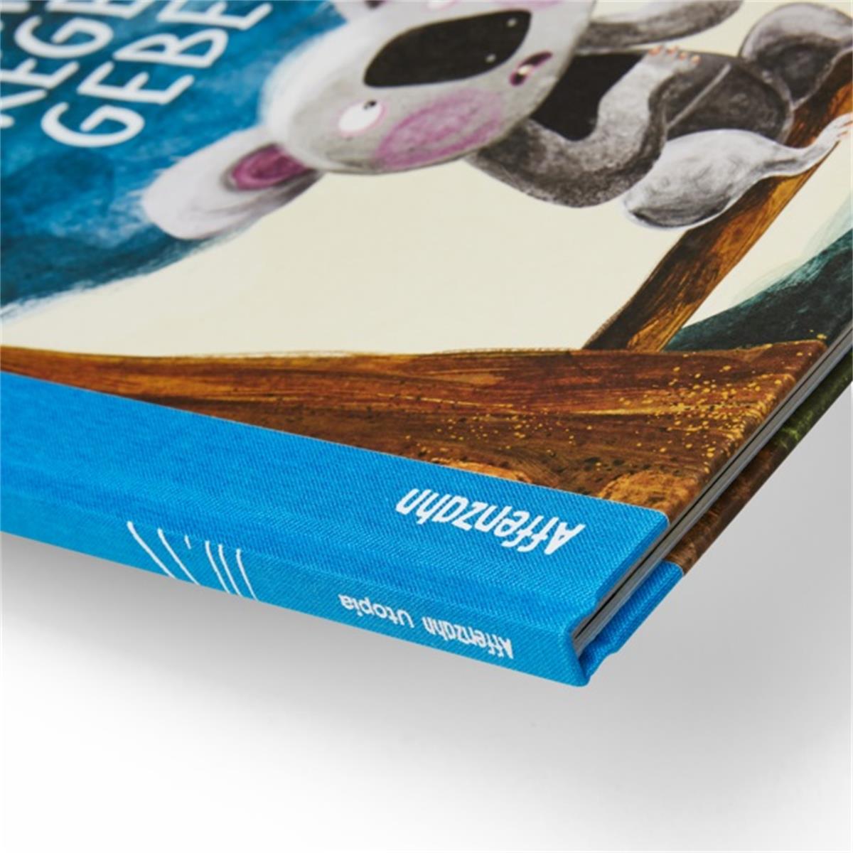 Affenzahn Bilderbuch "Könnte Regen geben"