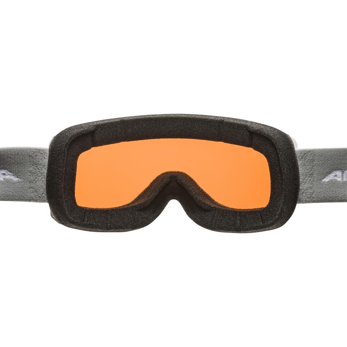 Alpina Scarabeo S Q, Skibrille, Bild 8 von 9