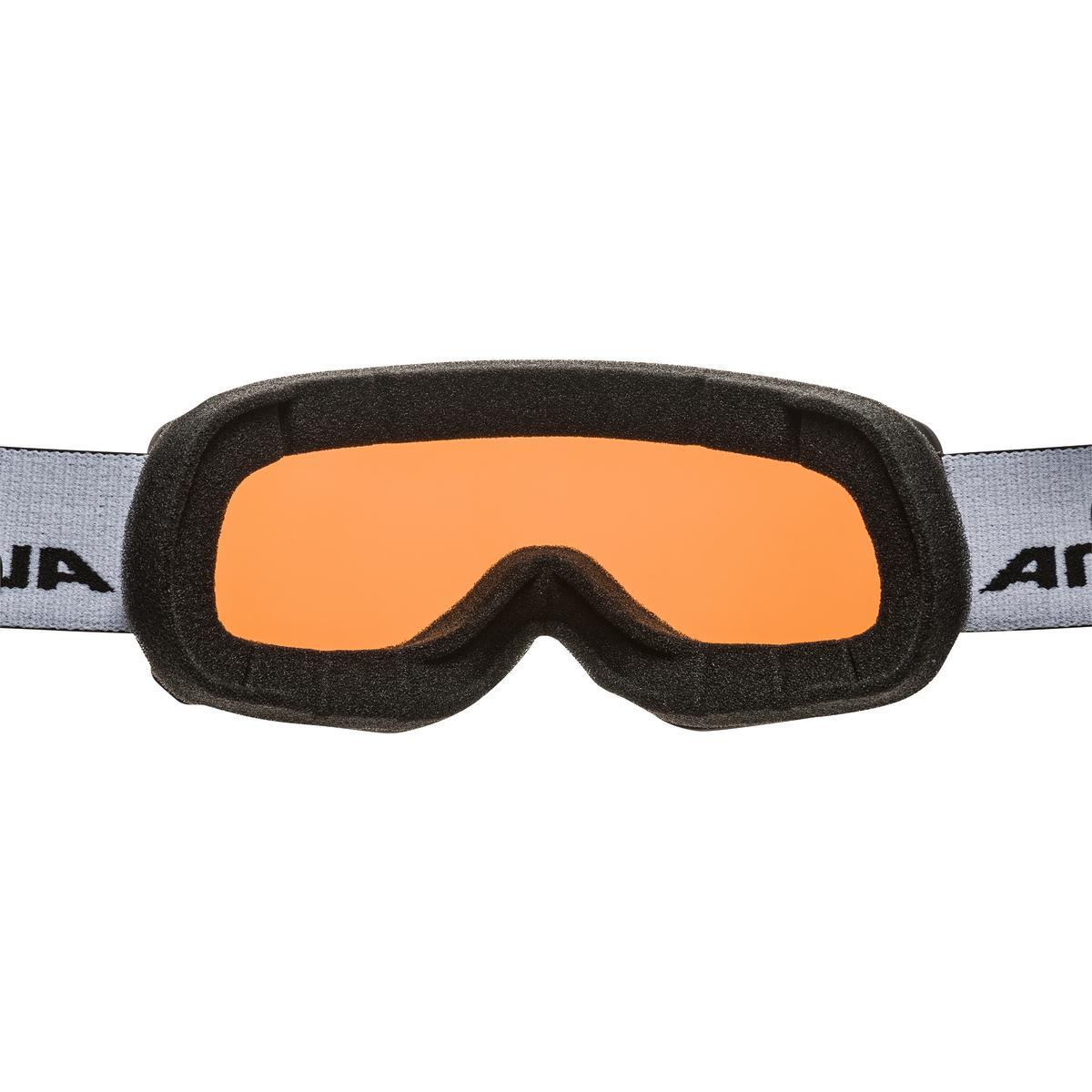 Alpina Scarabeo S Q, Skibrille, Bild 5 von 9