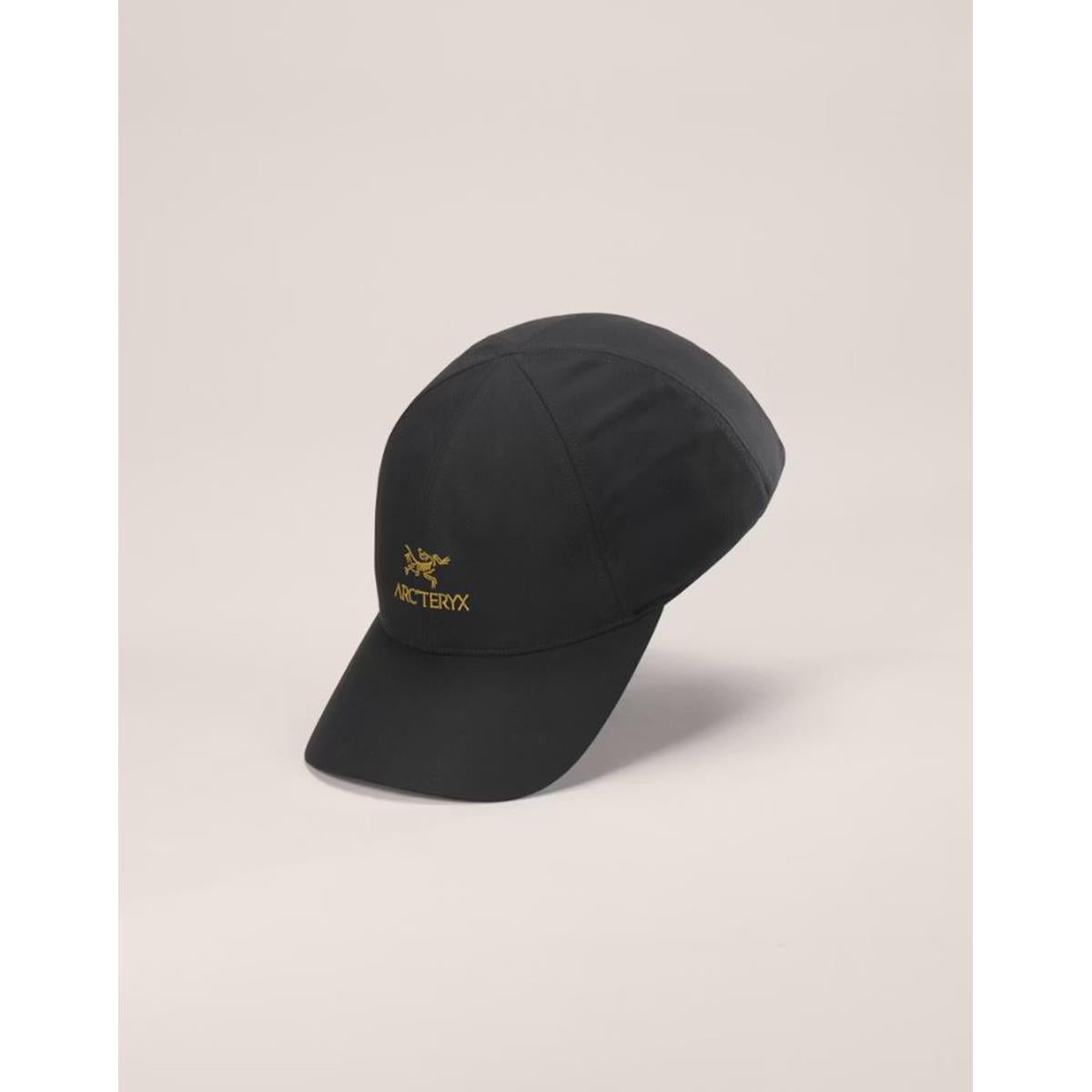 Arcteryx Bird Word 24K black Unisex Cap
