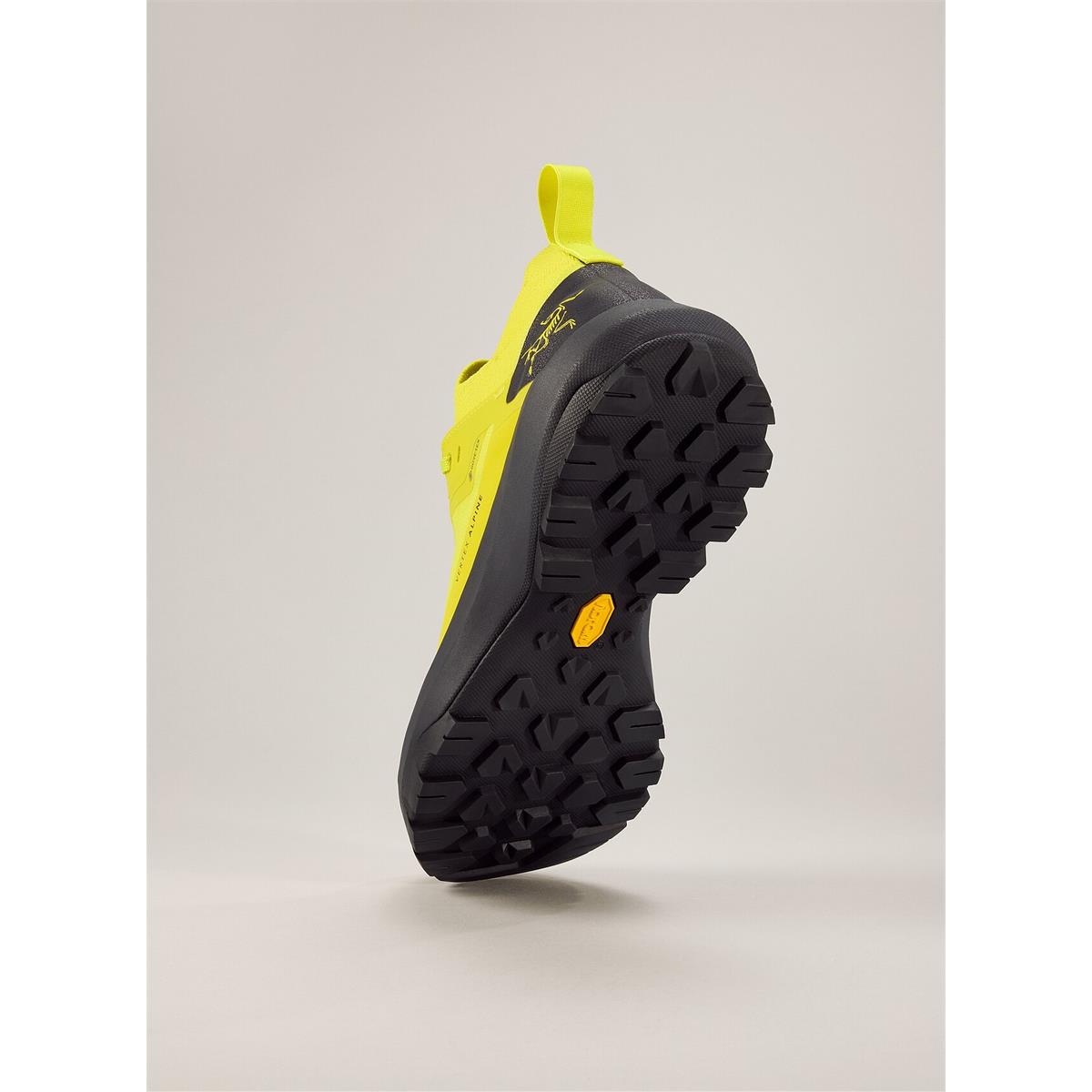 Arc'teryx Vertex Alpine GTX Men euphoria graphite, Bild 4 von 6