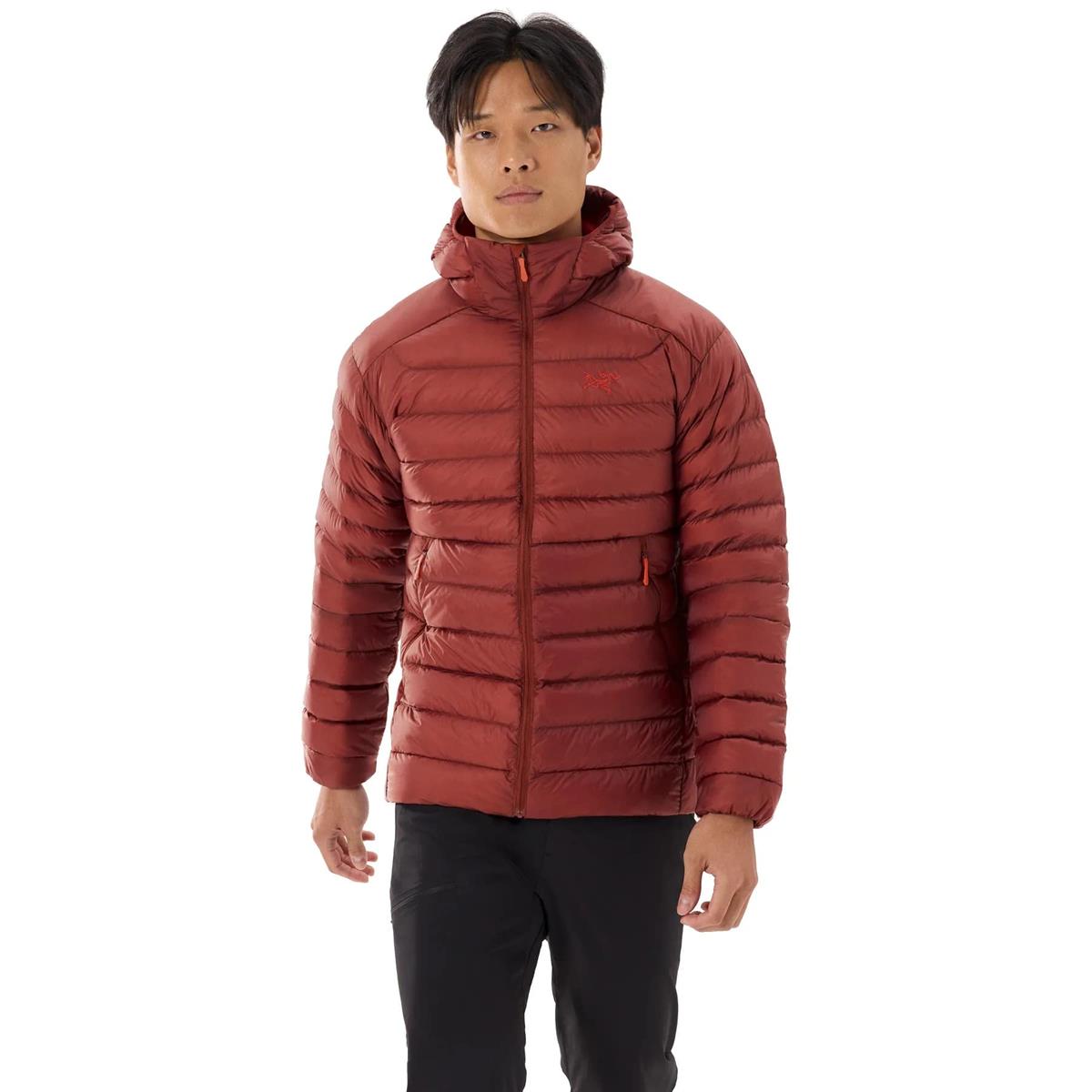 Arcteryx Cerium Hoody sequoia solaris Herren Daunenjacke, Bild 2 von 3