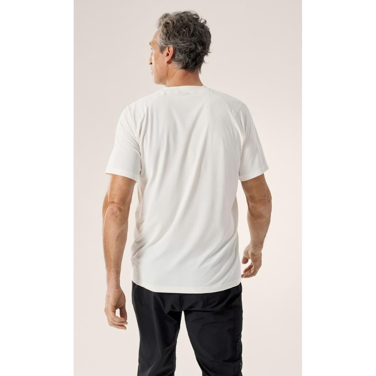 Arc'teryx Cormac Logo T Shirt Herren arctic silk, Bild 3 von 5