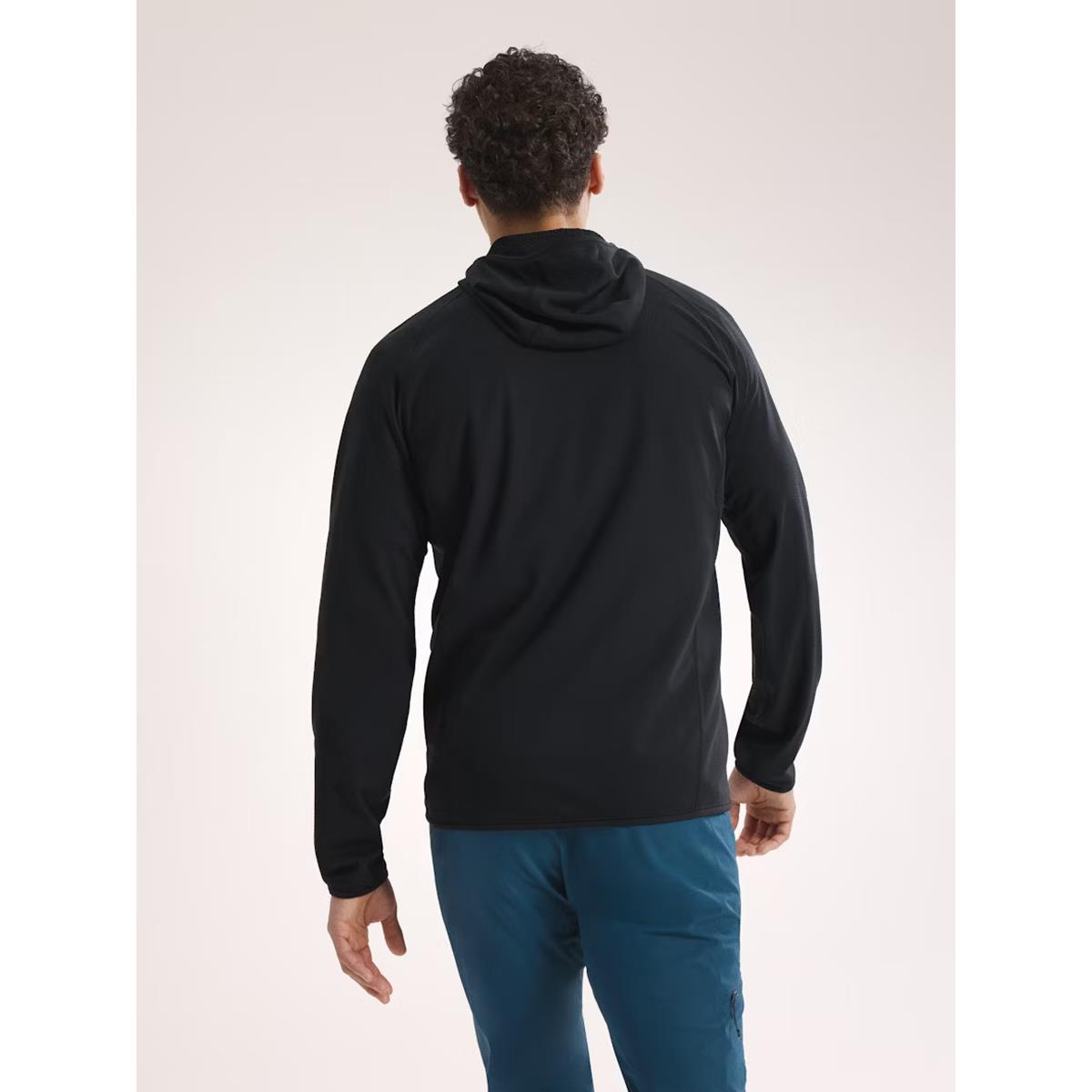 Arcteryx Delta Hoody Herren Schwarz, image 3 of 4