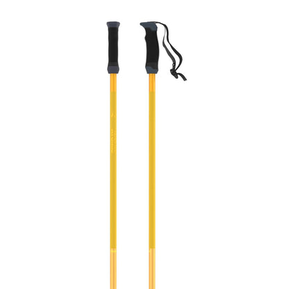 Atomic AMT SQS saffron