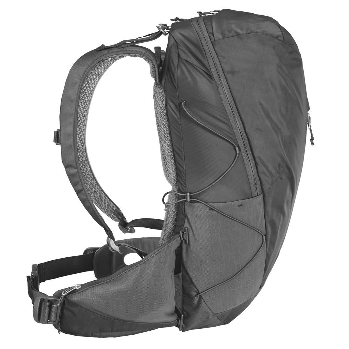 Bach Shield 26 Liter black, Bild 3 von 4