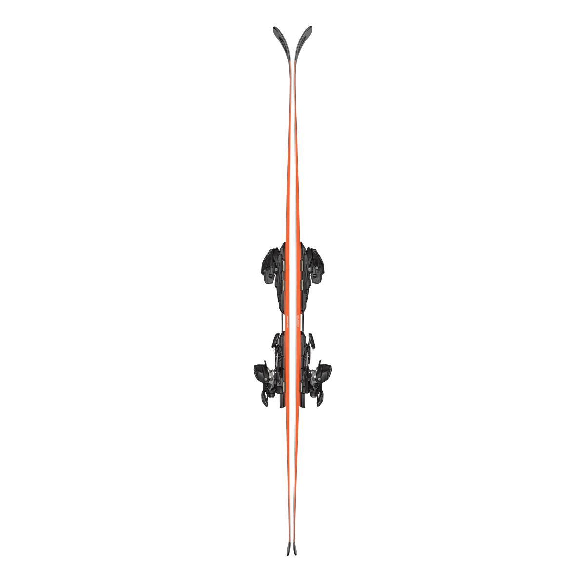Blizzard Firebird 70 RS TI + Comp12 Demo 2026/2027, Bild 5 von 5