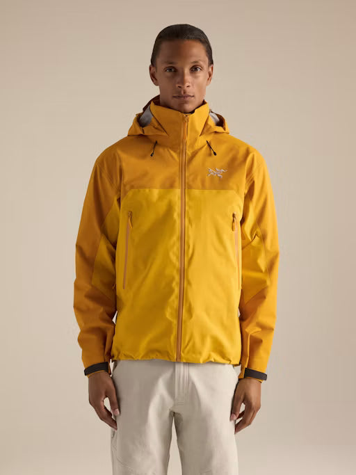 Arcteryx  Gorejacke Beta AR Jacket Herren nucleus/larch
