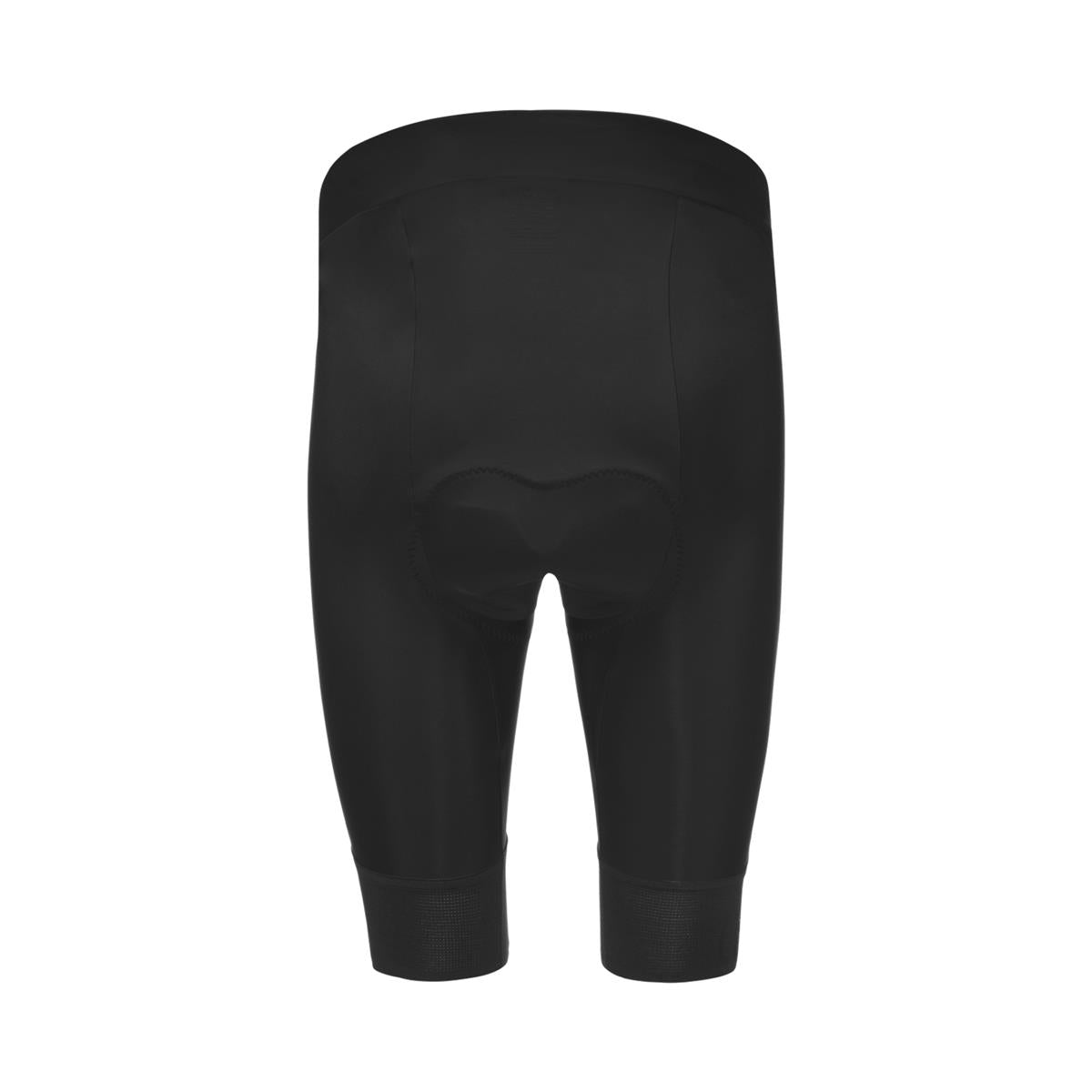 GOREWEAR SWIFTRIDE Kurze Tights Herren - black