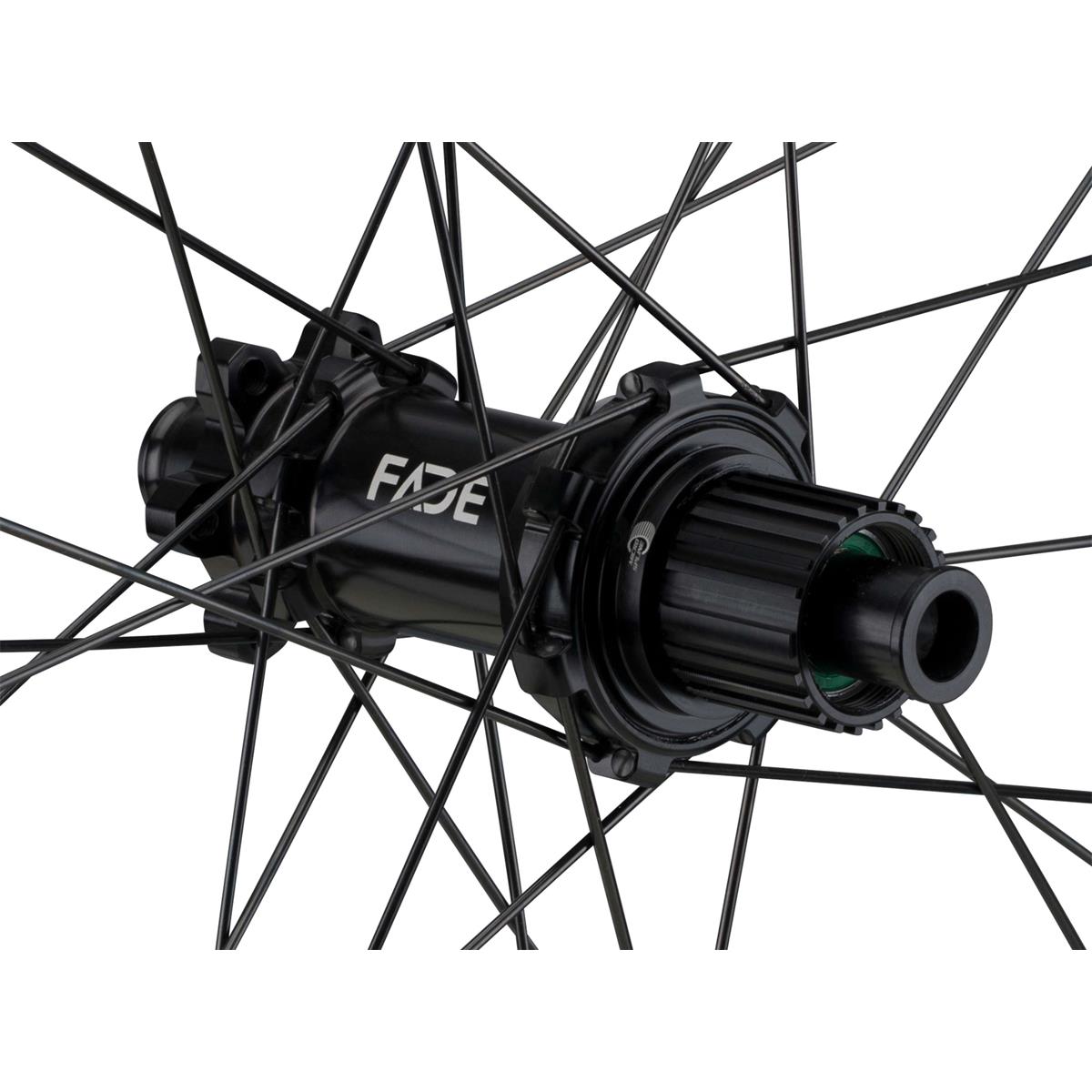 Newmen Evolution SL A.30 29 Zoll Rear, Bild 2 von 3