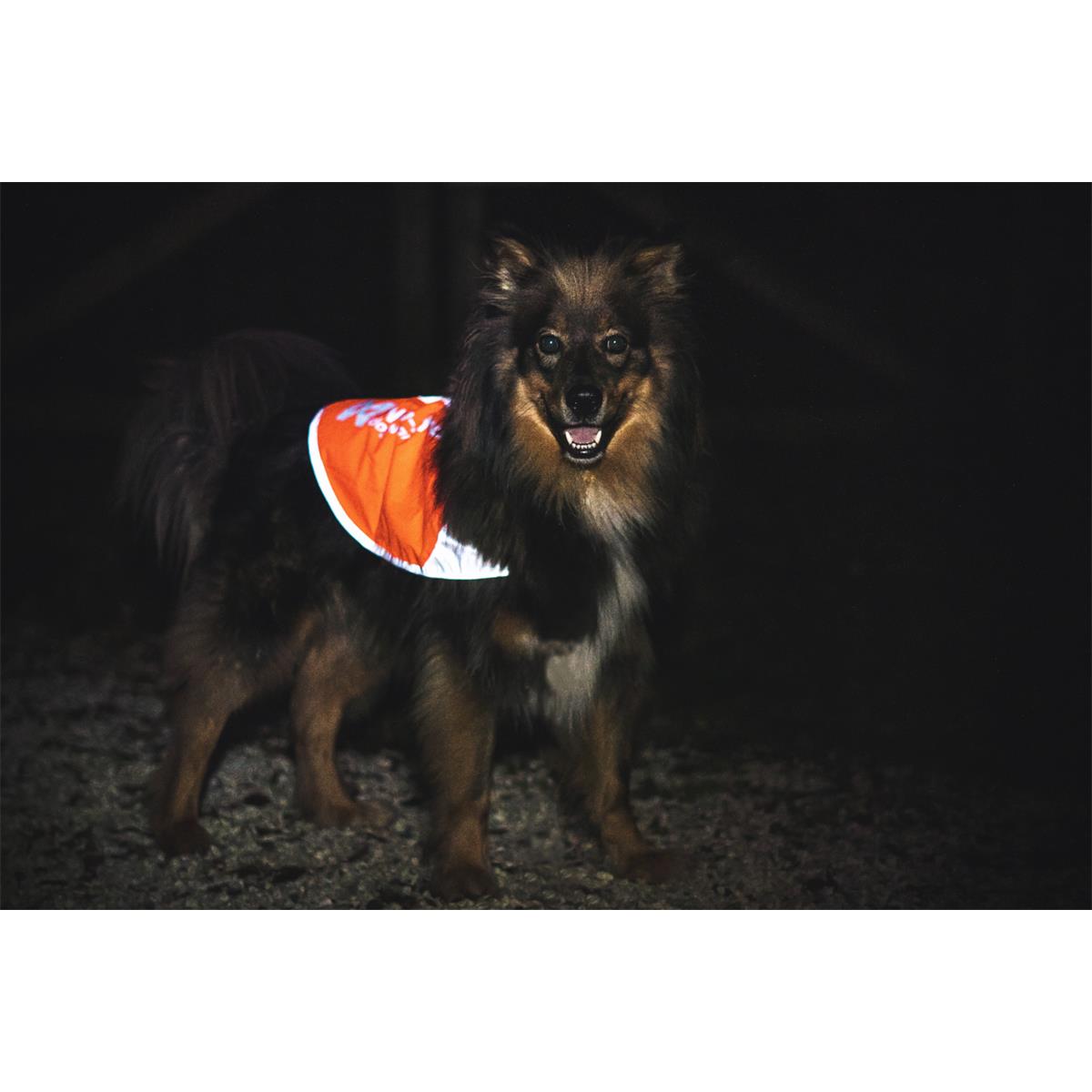 Non-stop dogwear Reflective Vest, Bild 3 von 4