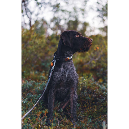 Non-stop dogwear Rock Adjustable Collar