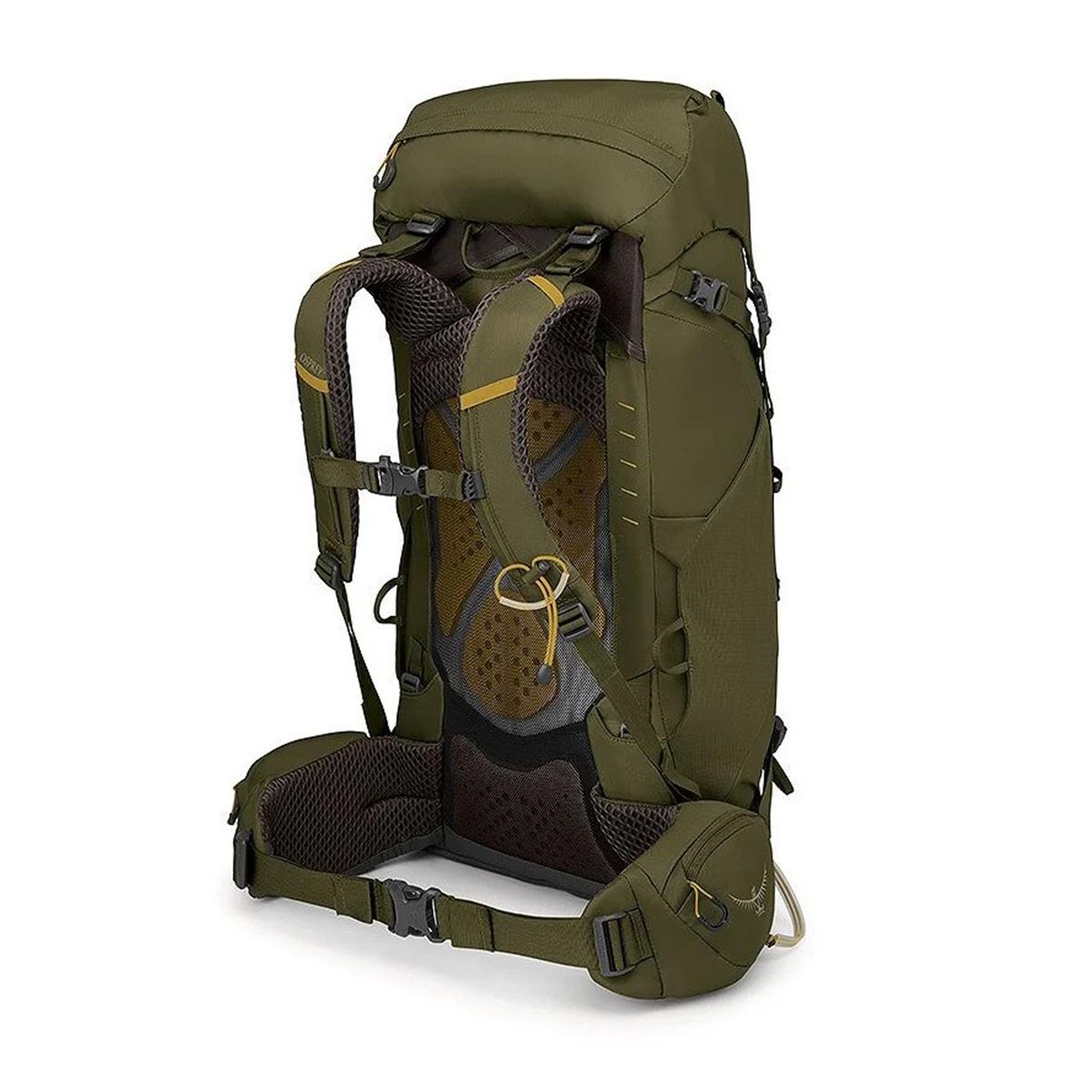 OSPREY Kestrel™ 38 Moss Green, image 2 of 4
