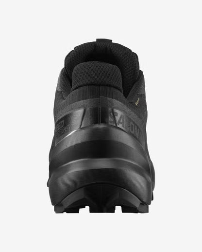 Speedcross 6 GTX W black/black