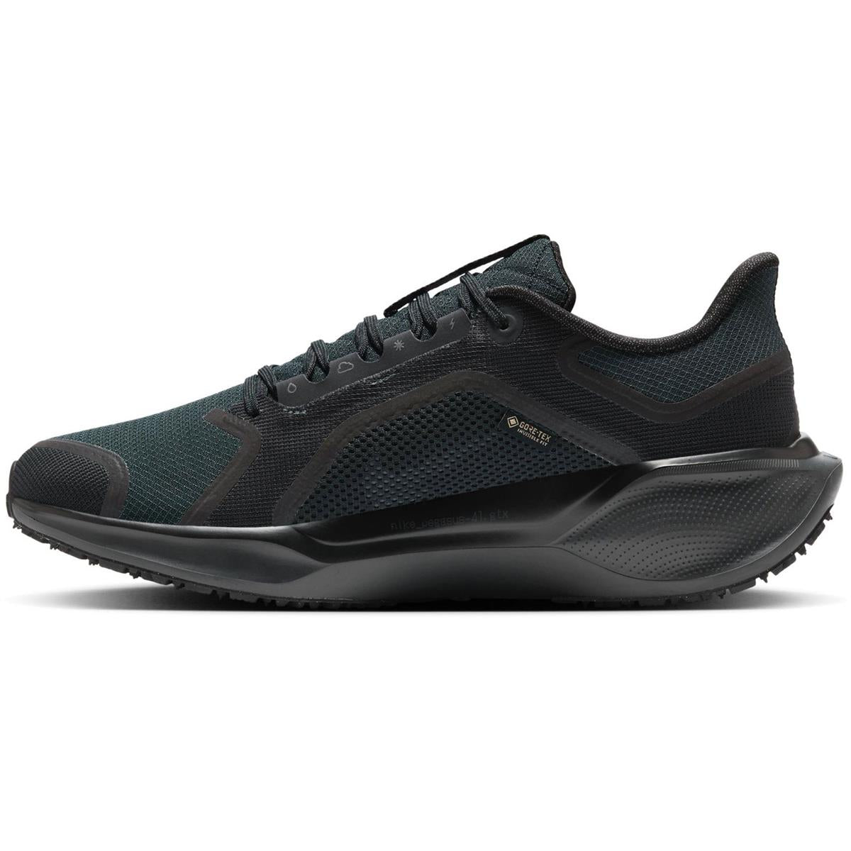 Nike Pegasus 41 GTX Men black