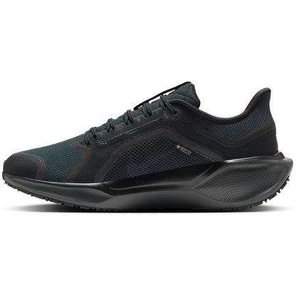 Nike Pegasus 41 GTX Men black