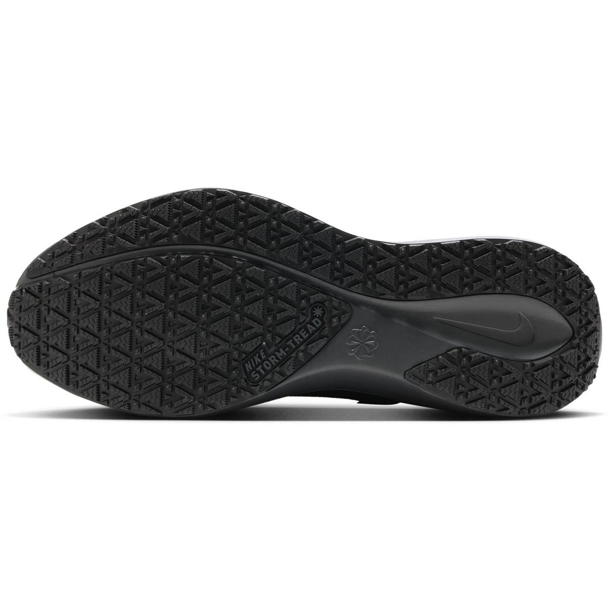 Nike Pegasus 41 GTX Men black