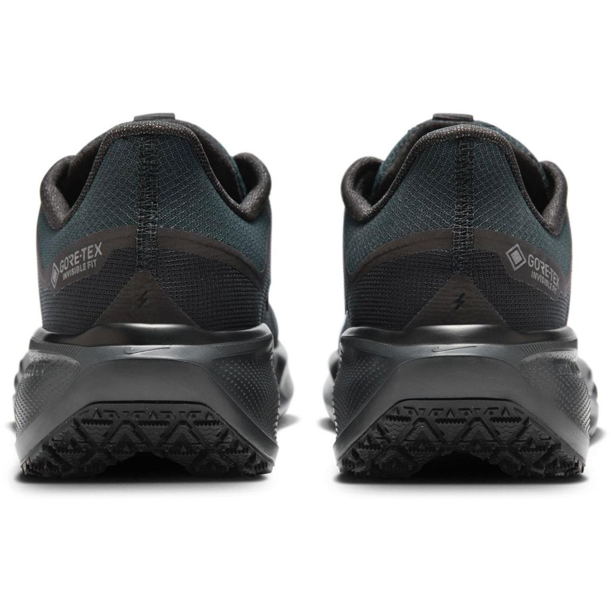 Nike Pegasus 41 GTX Men black