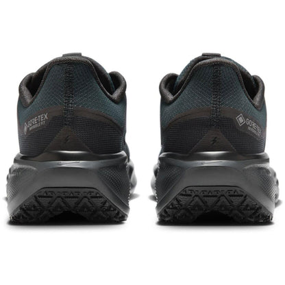 Nike Pegasus 41 GTX Men black