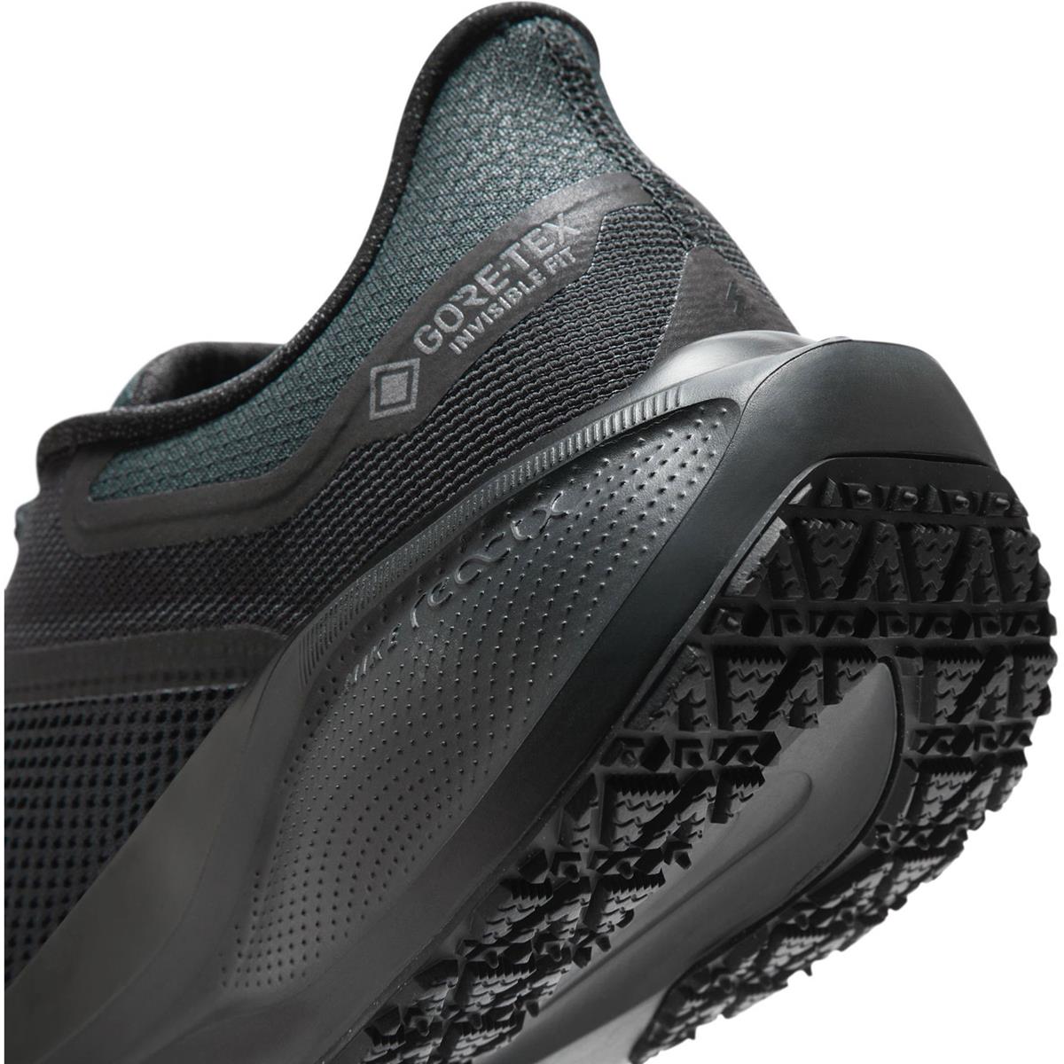 Nike Pegasus 41 GTX Men black