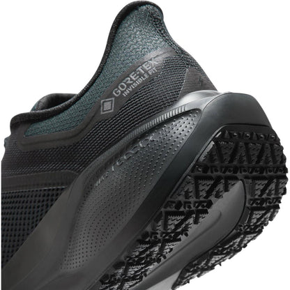 Nike Pegasus 41 GTX Men black