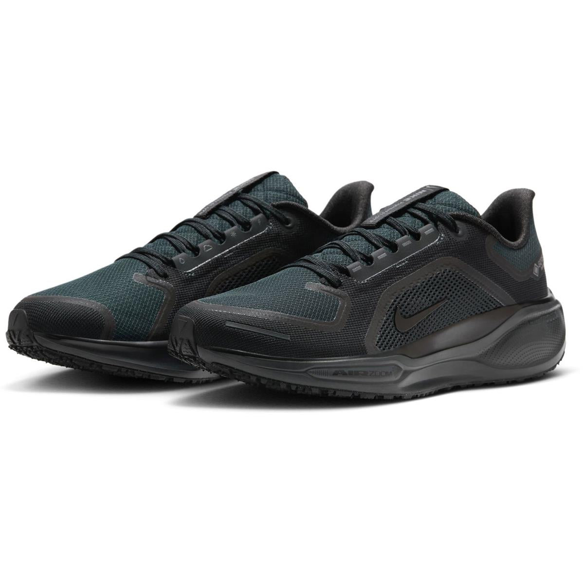 Nike Pegasus 41 GTX Men black