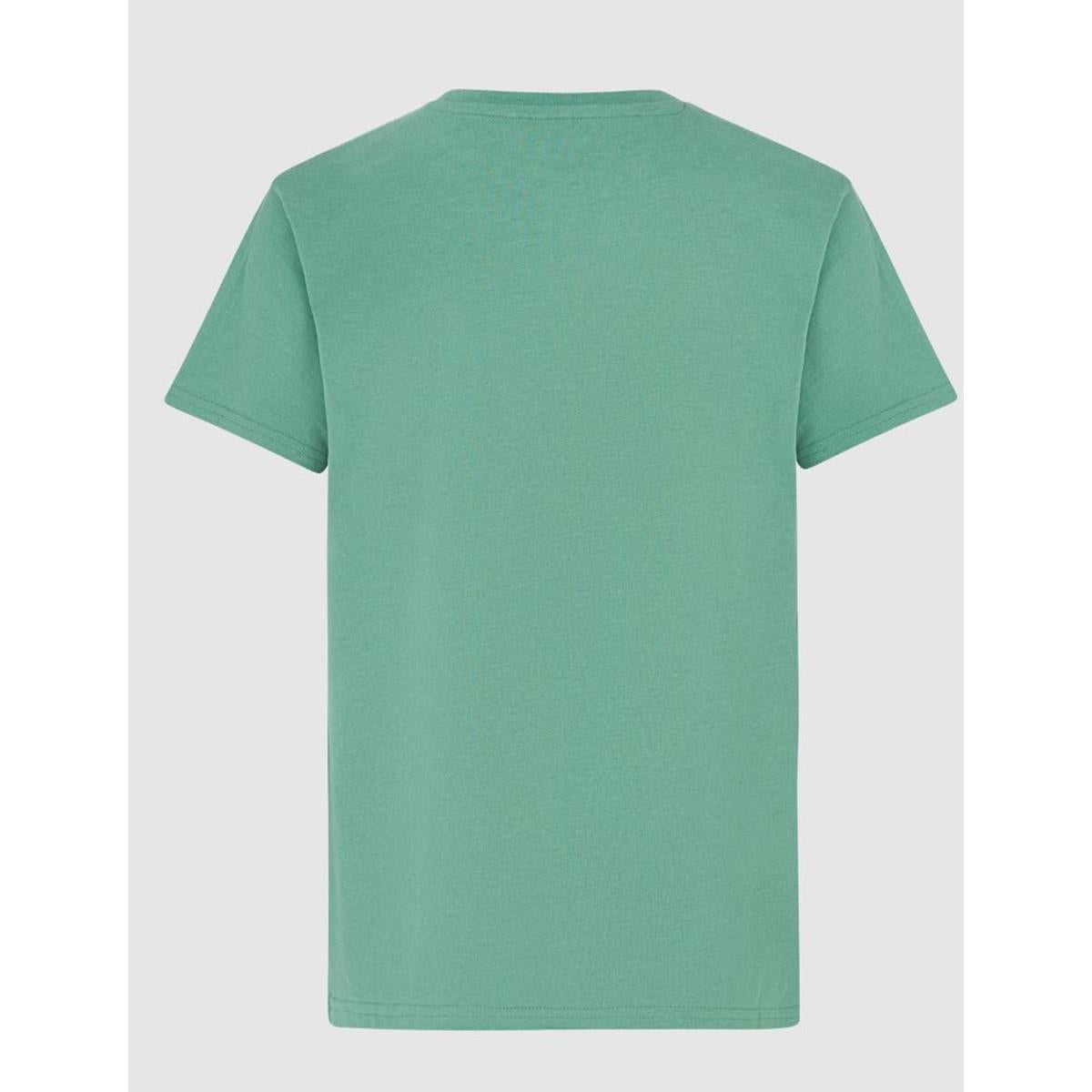 Protest Loyd Jr frosty green Kinder T-Shirt, image 2 of 4