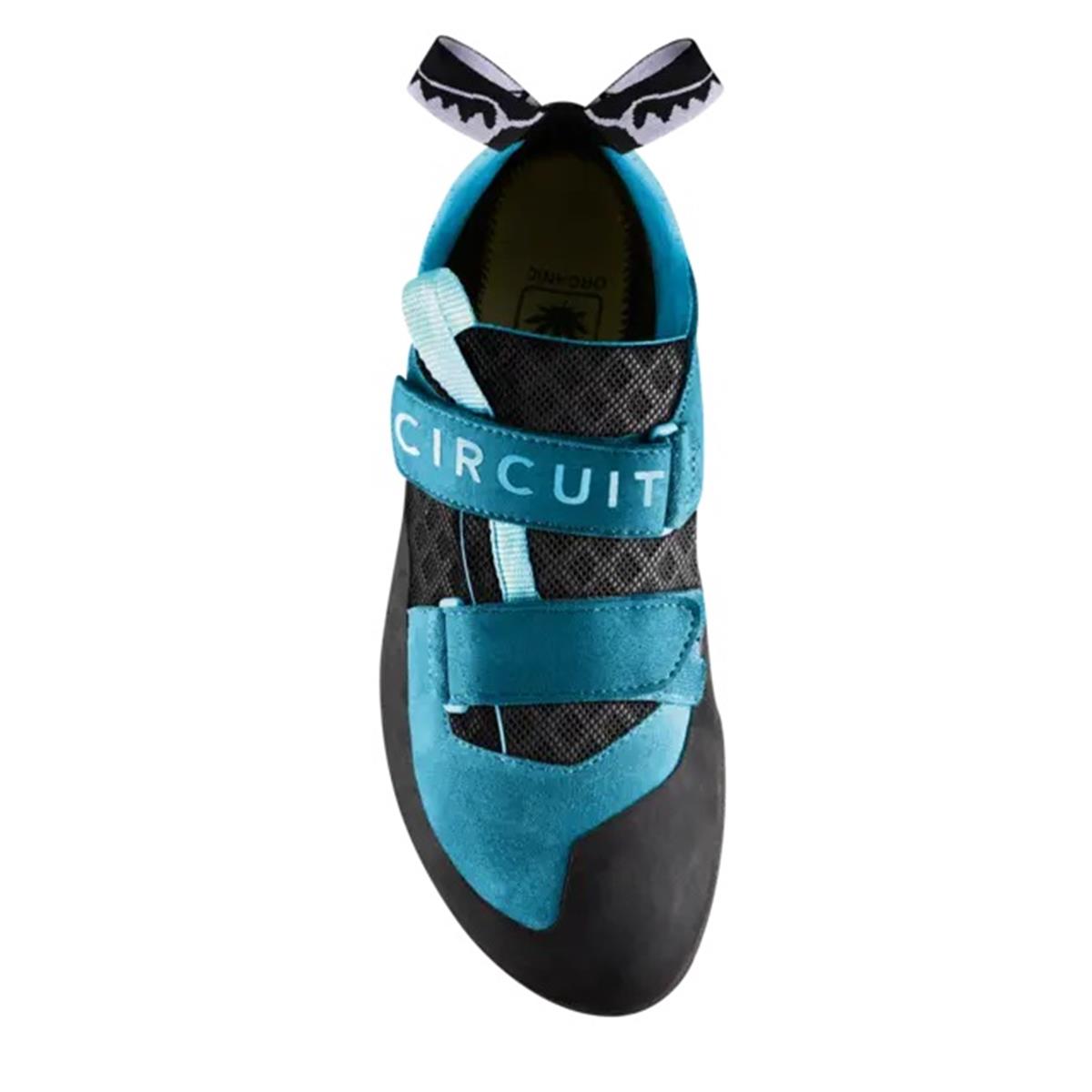 Red Chili Circuit hawaiian blue