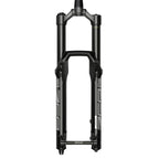 Rock Shox ZEB Ultimate RC2 29" 160mm schwarz Federgabel