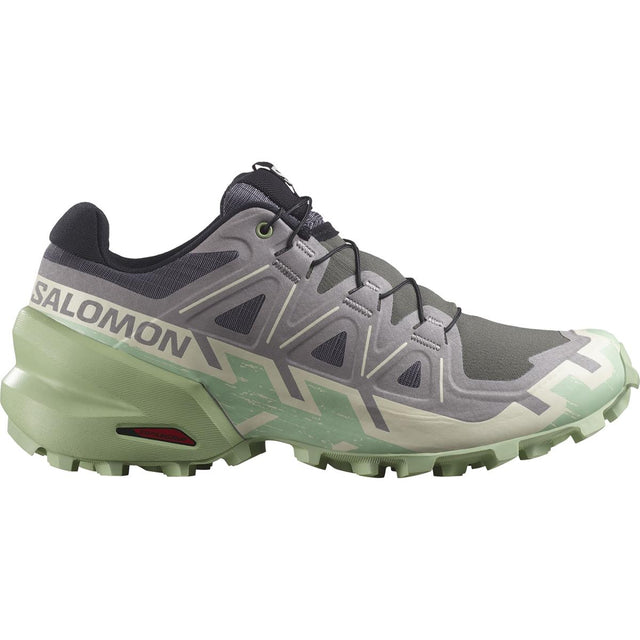 Salomon Speedcross 6 Women castlerock vanilla ice smoke green