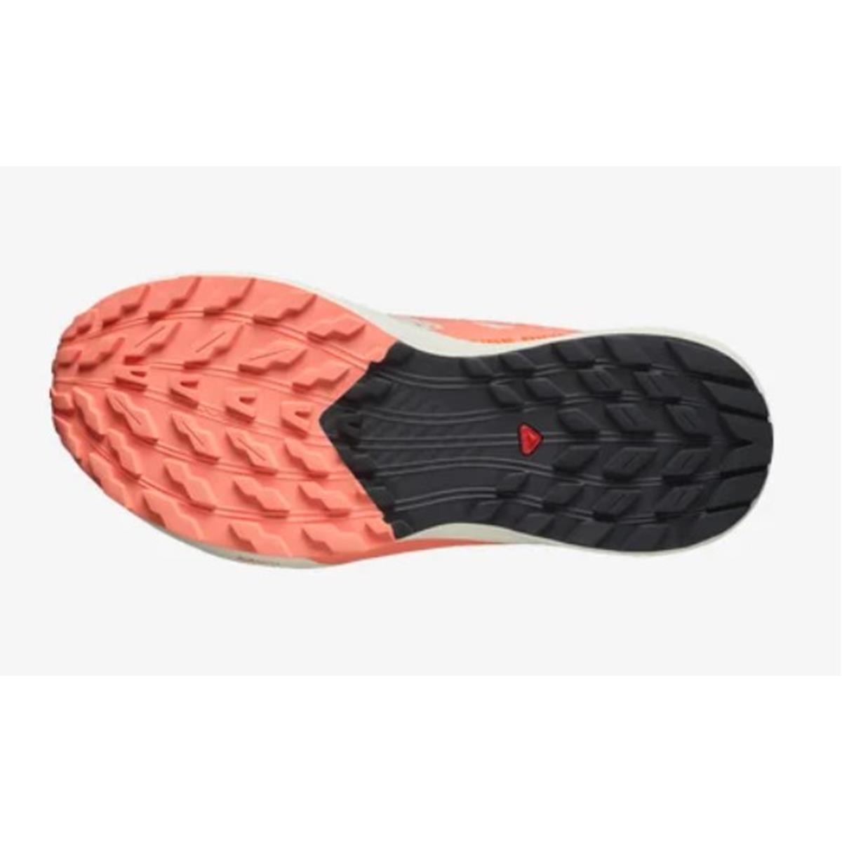 Salomon Sense Ride 5 W tender fuco black