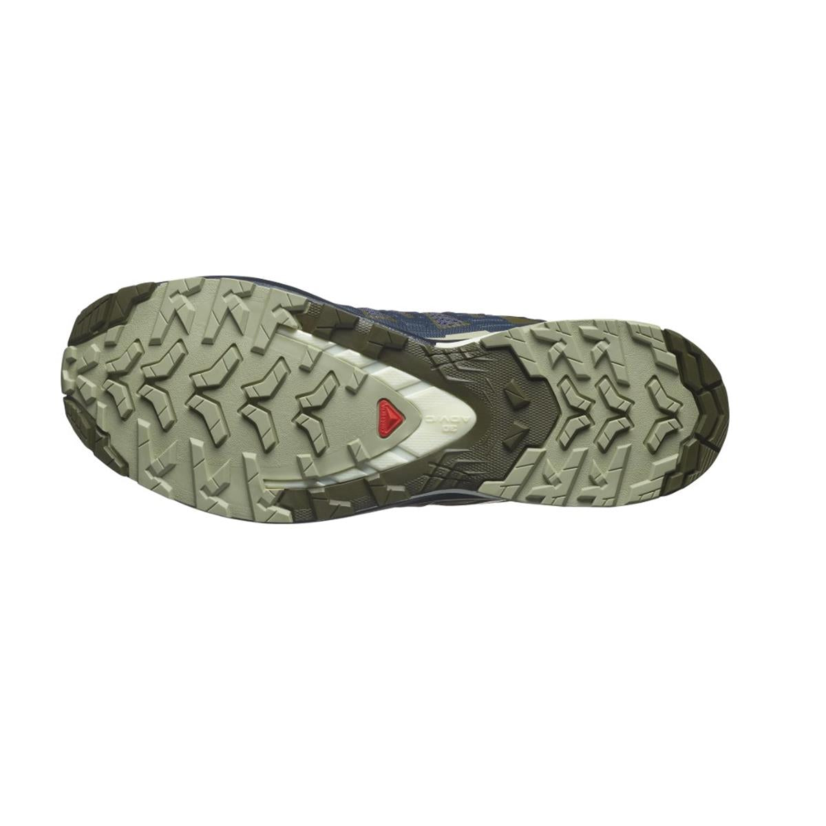 Salomon XA Pro 3D V9 Men india ink olive night Trailrunningshuhe