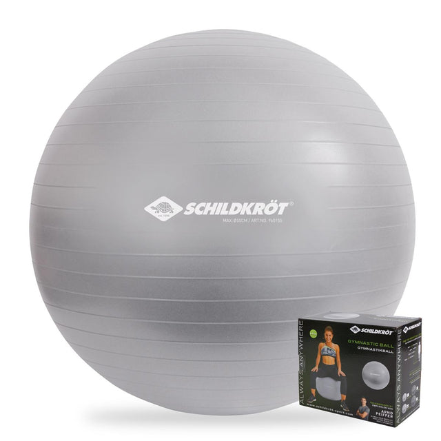 Schildkröt Gymnastikball 65 cm, phthalatfrei, mit Ballpumpe, silber